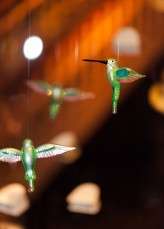 Science themed wedding_HBA Photography216