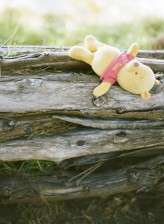 bohemian-big-sur-family-focused-elopement-by-helios-images-52