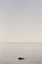 bohemian-big-sur-family-focused-elopement-by-helios-images-58