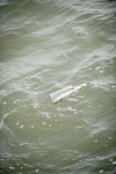 638_JackieWarden_HRM