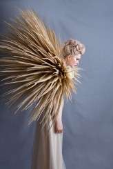 Taxidermy_Lucy_Davenport_Photography-10