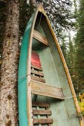 canadian_rocky_mountain_wedding_Micheal_B_106