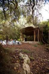 face and body paint wedding40