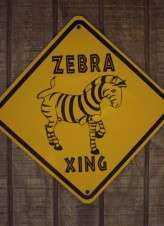 1940 Disney Jungle Cruise Explorer_Cody Krogman Photography173