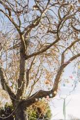 Anna Delores Photo_Madonna Inn wedding_0381