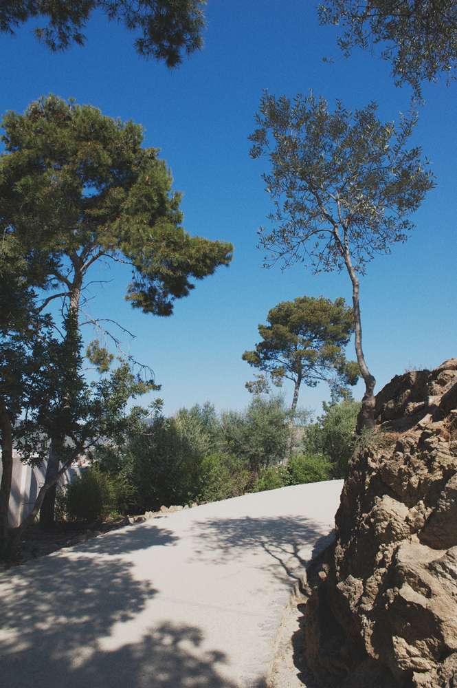 Barcelona Parc Guell Gaudi Plants by Rebecca Douglas Photography 12