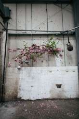 Caro Weiss and Pyrus shoot-32