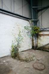 Caro Weiss and Pyrus shoot-78