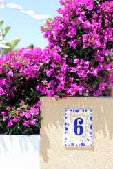 DIY_Vintage_Wedding_JoCrawford 127