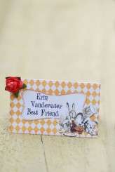 MadHatterWedding_AHMPhotography012