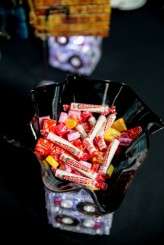 Music_nerd_cat_lover_Chicago_Wedding_by_Sprung_Photo111