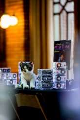 Music_nerd_cat_lover_Chicago_Wedding_by_Sprung_Photo125