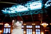 Music_nerd_cat_lover_Chicago_Wedding_by_Sprung_Photo146