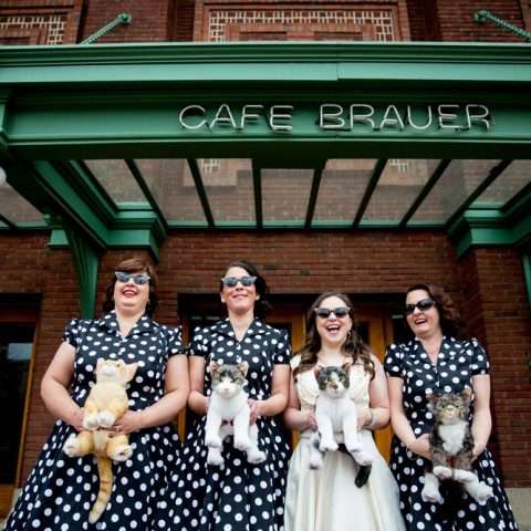 Music_nerd_cat_lover_Chicago_Wedding_by_Sprung_Photo45