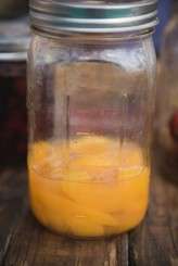 Photos by: Tony Gambino www.tonygambinophoto.com