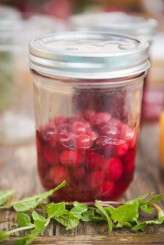 Photos by: Tony Gambino www.tonygambinophoto.com