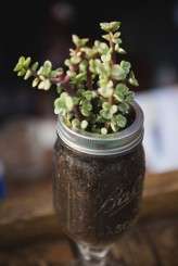 Photos by: Tony Gambino www.tonygambinophoto.com