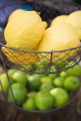 Photos by: Tony Gambino www.tonygambinophoto.com