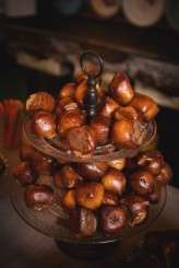 Photos by: Tony Gambino www.tonygambinophoto.com