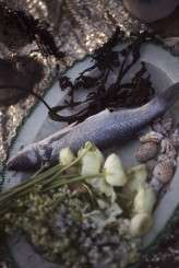 Rusalka-Styled-Shoot-Photography-Farm-Devlin-Photos-495