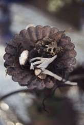 Rusalka-Styled-Shoot-Photography-Farm-Devlin-Photos-497