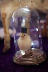 Skatepark_BettiConfetti_085