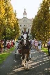 gay garden wedding_nordica photography 075