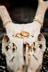 victorian_photopink_65