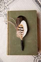 victorian_photopink_80