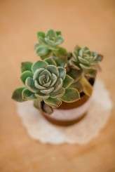 carolien+ben_rustic farm wedding-006