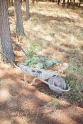 carolien+ben_rustic farm wedding-185