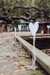 christinakarstphotography_treatyoak_irvin-207i