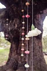 christinakarstphotography_treatyoak_irvin-207j