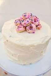 christinakarstphotography_treatyoak_irvin-409jb