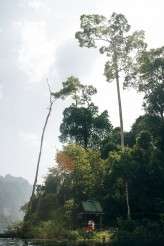 rainbow thailand vow renewal48