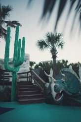 Dino Engagemnt_Autumn BeuryHML-2