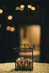 Disco_Wedding_Vesic_Photography-642