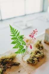 Overgrown Industrial_Anthony Hoang 191