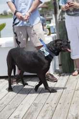 backyarddockwedding_tatumkathleenphotography-0575