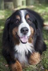 backyarddockwedding_tatumkathleenphotography–14