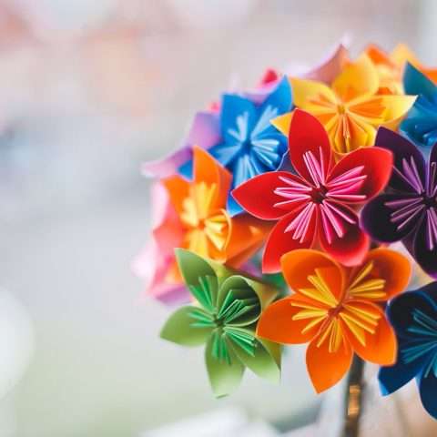 Photographed by www.laurapower.co.uk