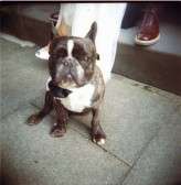 Lisa Jane Photography – Pub Wedding Angel-062a