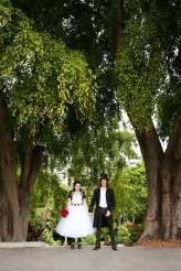 VanHalens_Millyjane_151