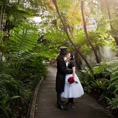 VanHalens_Millyjane_184