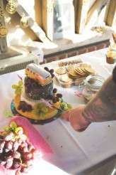 cariadaaronwedding105