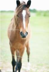 something blue tattooed barn wedding2