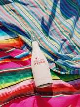 vegas dry lake beds wedding Gaby J Photography 86