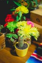 AnnabelSteve_BaylyMoore-108