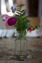 Calke Abbey Alternative Wedding