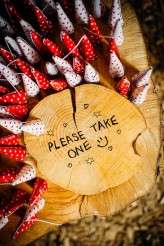 Marianne Chua Photography- cowboy wedding-104